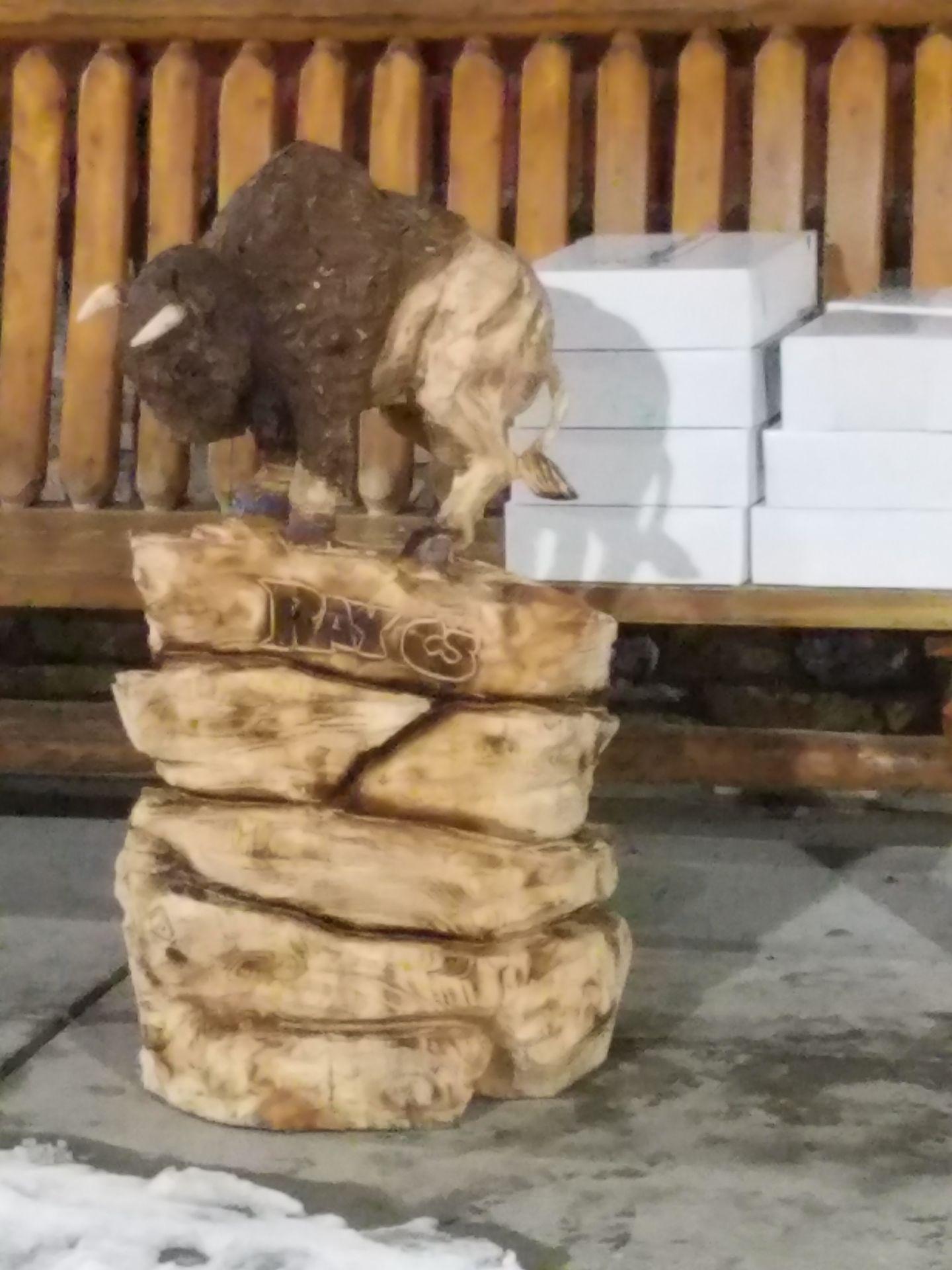 Montoya Chainsaw Carving 9
