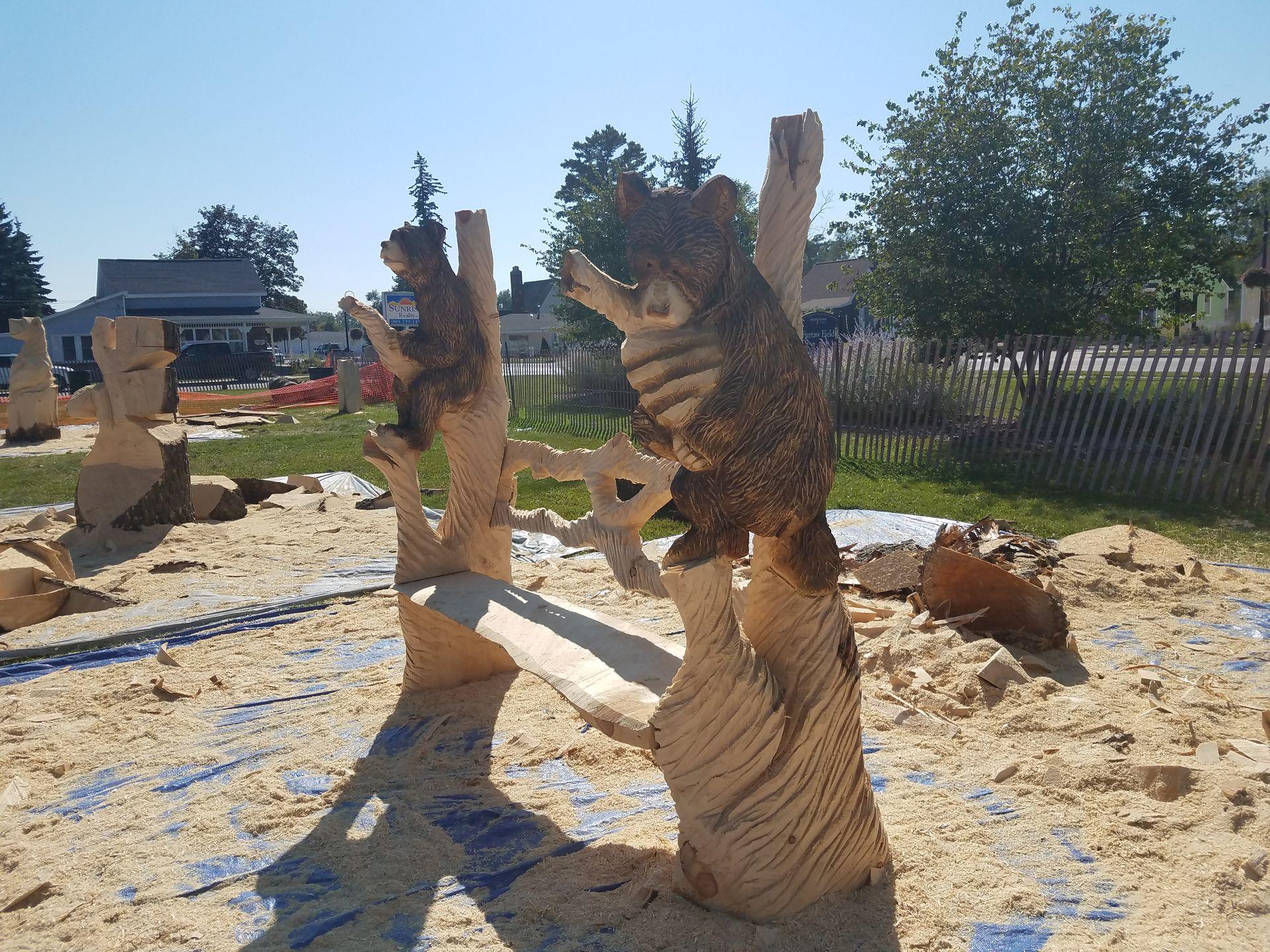 Montoya Chainsaw Carving 17