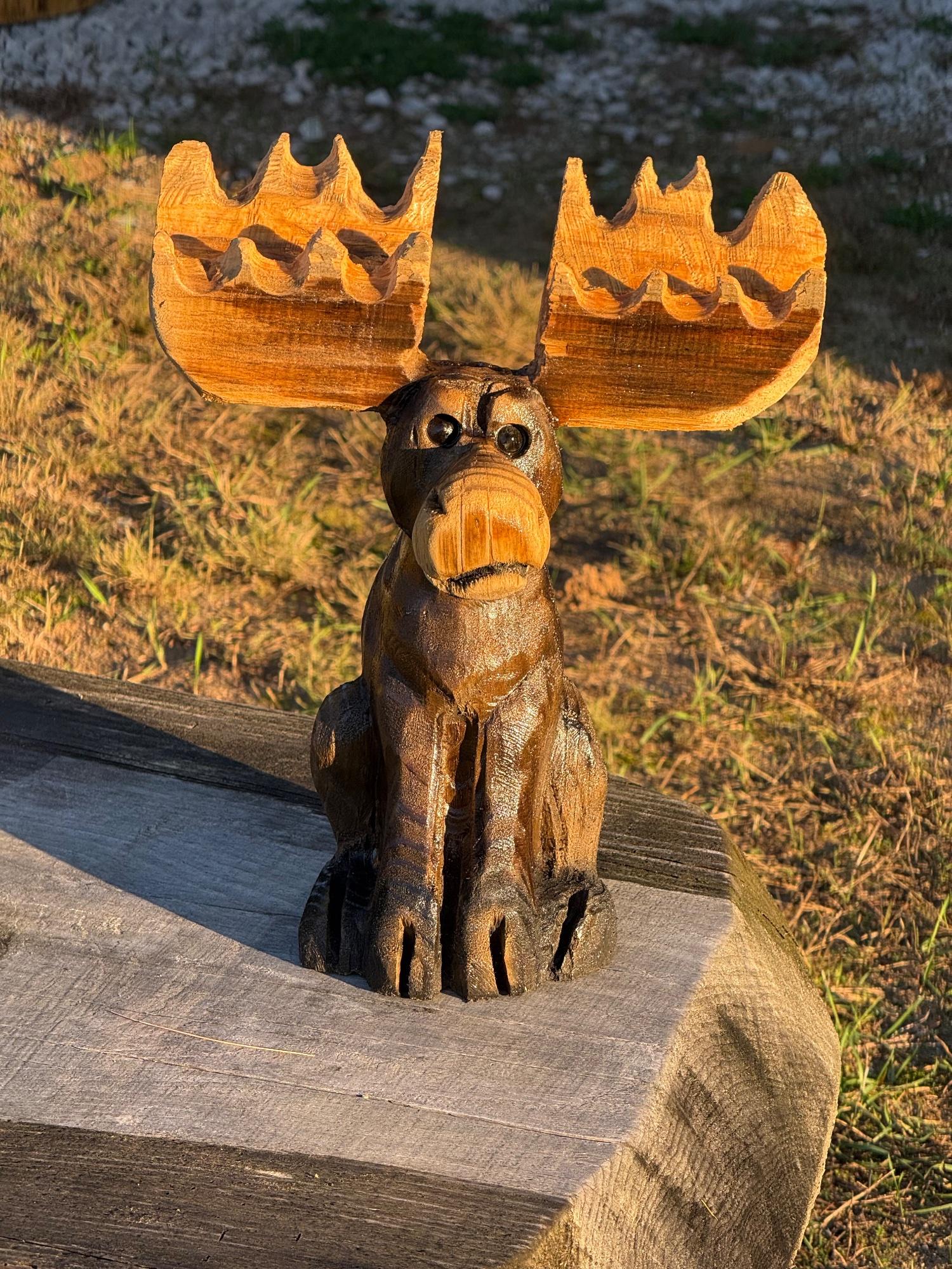 Sitting Moose